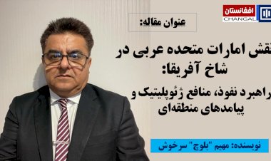 نقش امارات متحده عربی در شاخ آفریقا: راهبرد نفوذ، منافع ژئوپلیتیک و پیامدهای منطقه‌ای
