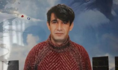 آزادی «ویسی آکتاش»؛ گامی در جهت صلح ترکیه و پ‌ک‌ک،